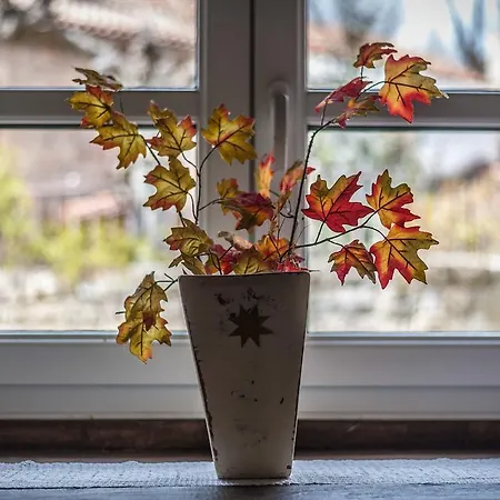 Complejo Rural Abiada